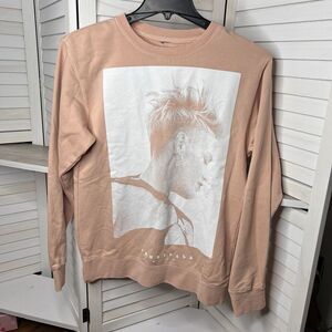 P!NK Pink Alecia Moore Summer Carnival Trustfall Sm Pullover Sweatshirt Official